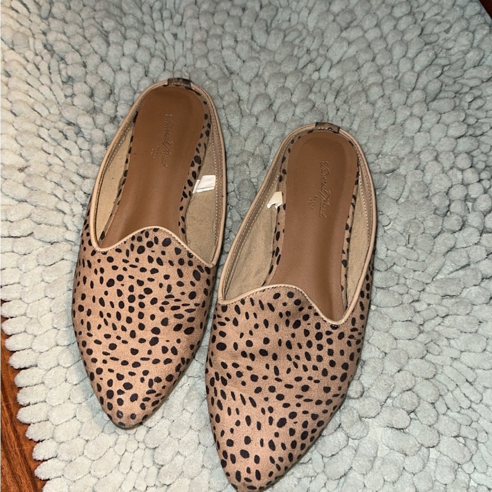 Dotted Flats